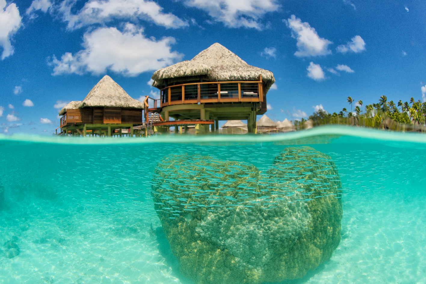 ABF Overwater Bungalow